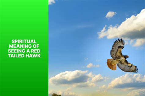 Exploring the Various Interpretations of Hawk Vision