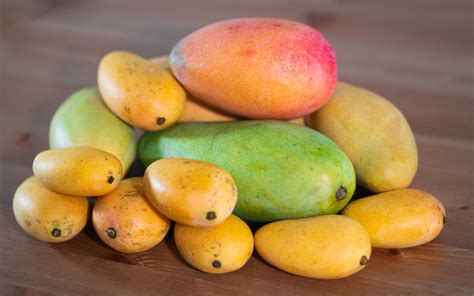 Exploring the Various Mango Varieties