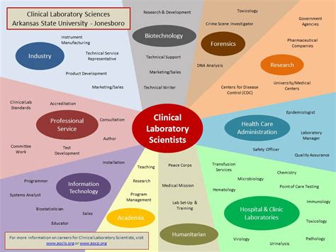 Exploring the Various Paths in the Field of Medicine