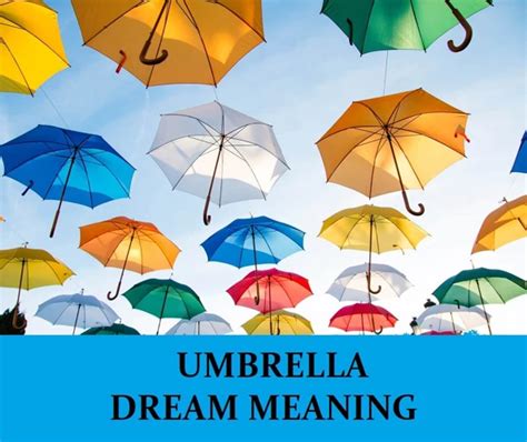 Exploring the Various Scenarios of Dreaming with a Dark Umbrella