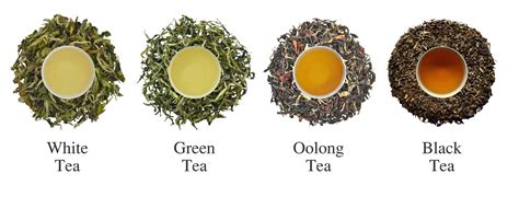 Exploring the Vast World of Tea: An Insider's Guide to Popular Varieties