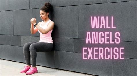 Exploring the Wealth of Fitness Angel