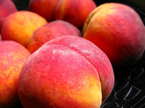 Exploring the Wealth of Georgia Peach