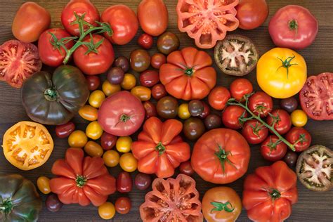 Exploring the Wide Array of Tomato Varieties