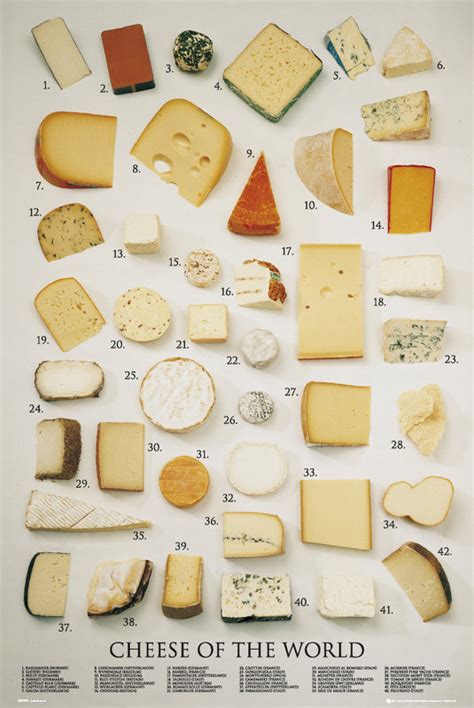 Exploring the World of Cheese: A Guide to Different Types