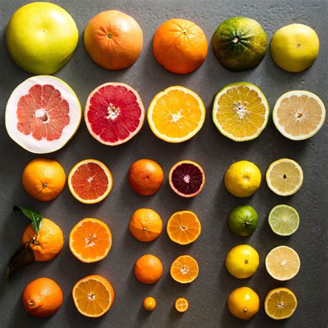 Exploring the World of Citrus: Different Orange Varieties and Their Unique Flavors