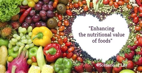 Exploring the World of Food and Nutrition: Enhancing Personal Well-being