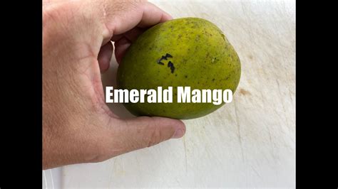 Exploring the Zesty Flavor Profile of Emerald Mangoes