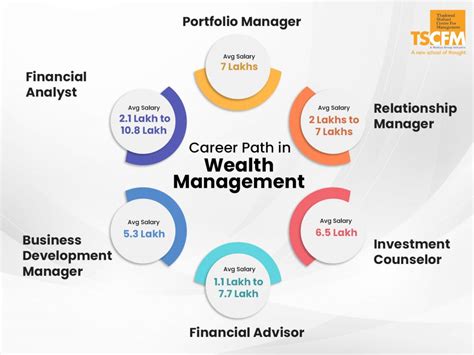 Exploring the evolution of successful career and financial wealth