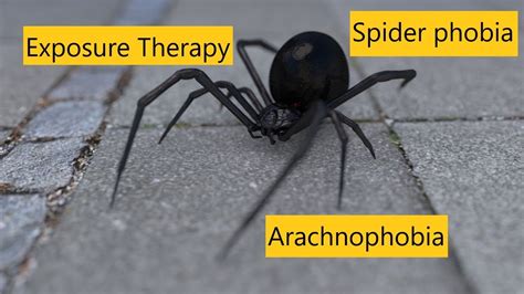 Exposure Therapy: Facing Arachnophobia Head-On