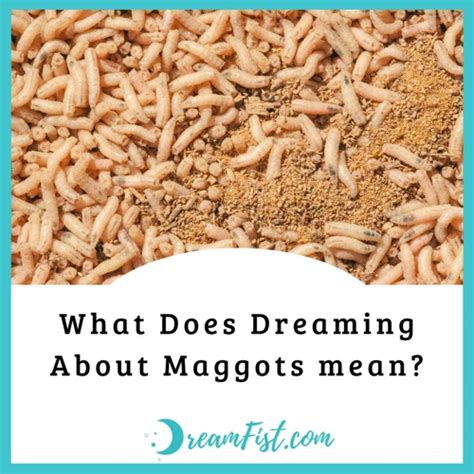 Faces of Fear: Exploring the Psychological Meaning Behind Maggots in Dreams