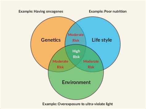 Factors Contributing to Thin Lips: Genetic Inheritance, the Effects of Aging, and Lifestyle Choices