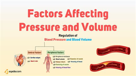 Factors Influencing Menstrual Blood Volume