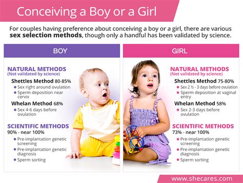 Factors That Influence the Probability of Conceiving a Boy or a Girl