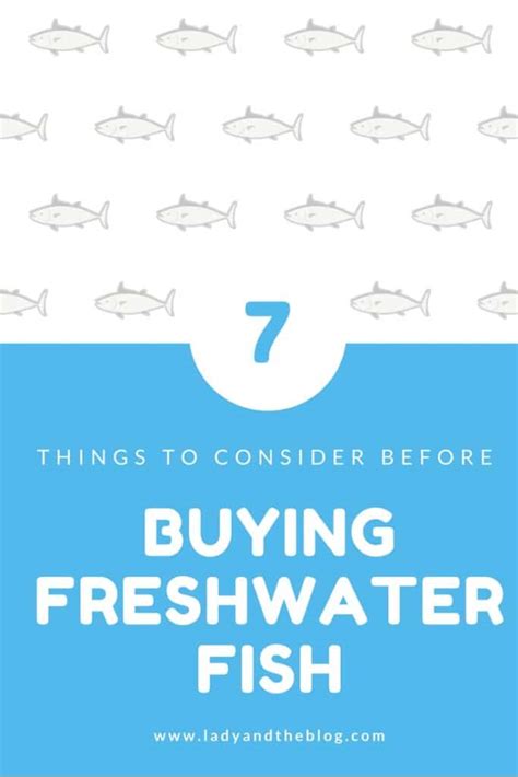 Factors to Consider Before Purchasing a Fish