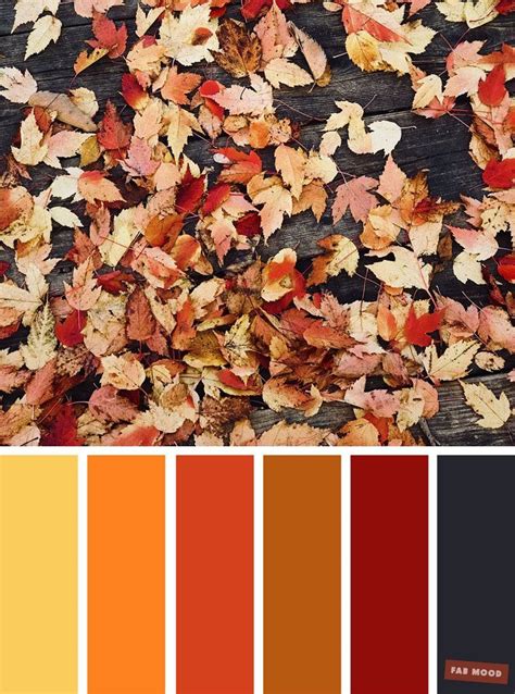 Fall's Palette: Exploring the Different Shades of Autumn