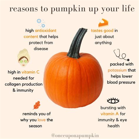 Fall in Love with Pumpkin: Discover the Health Benefits