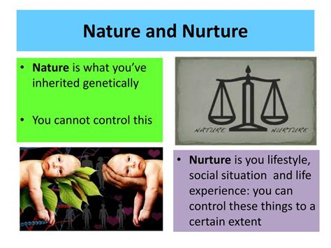 Family Dynamics and the Development of Familial Attraction: Investigating the Influence of Nature and Nurture