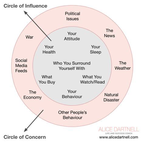 Fan Following and Influence