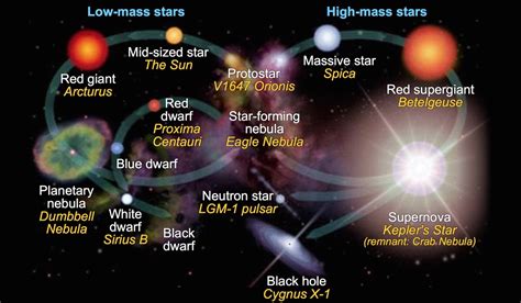 Fanbase and Support System of the Renowned Star