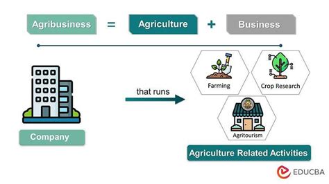 Farming as a Business: Understanding the Financial Realities