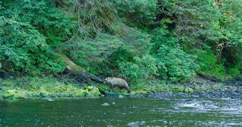 Fascinating Encounters Along the Path to Uncovering