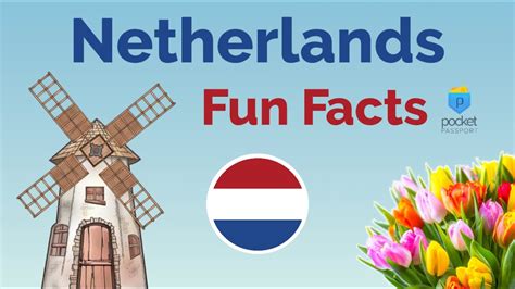 Fascinating Facts about the Dutch Model