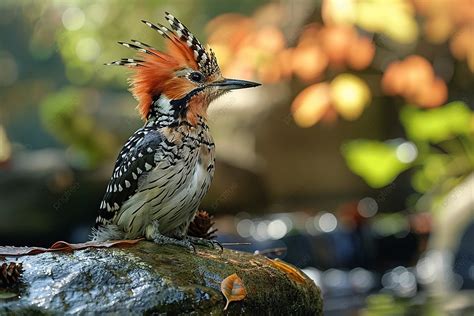 Feathered Slumber: Admiring the Graceful Resting Posture of Avian Beauties