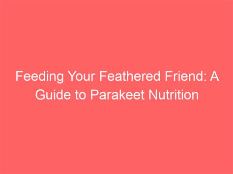 Feeding Your Feathered Friend: A Guide to Bird Nutrition