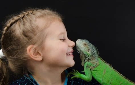 Feeding Your Reptilian Companion: Tips and Hacks