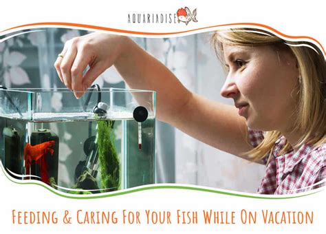 Feeding and Caring for Your Aquatic Companion