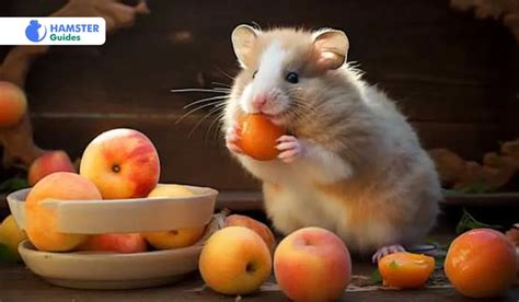 Feeding and Nutritional Requirements for Newborn Hamsters