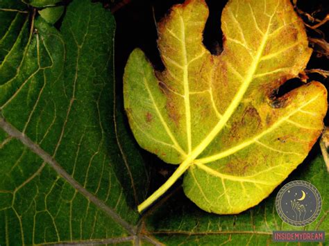 Fig Leaves in Art: Exploring the Symbolism and Interpretations