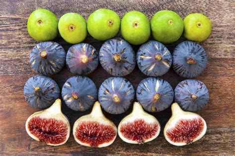 Fig Varieties from Around the World: Unveiling the Diversity