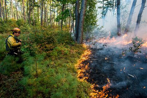 Fighting Fire with Fire: The Role of Controlled Burns in Environmental Conservation