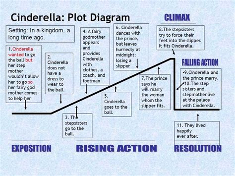 Figure: Discover Stella Cinderella's Body Structure