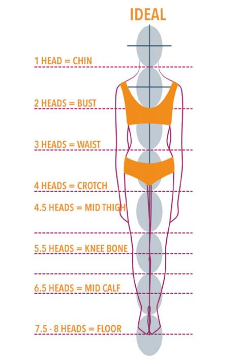 Figure: Hika's Body Measurements and Proportions