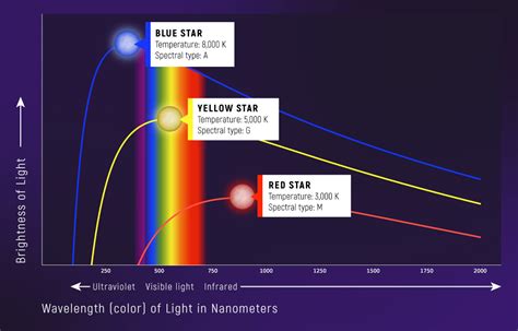 Figure: Learn About Supernova Bio's Body Shape