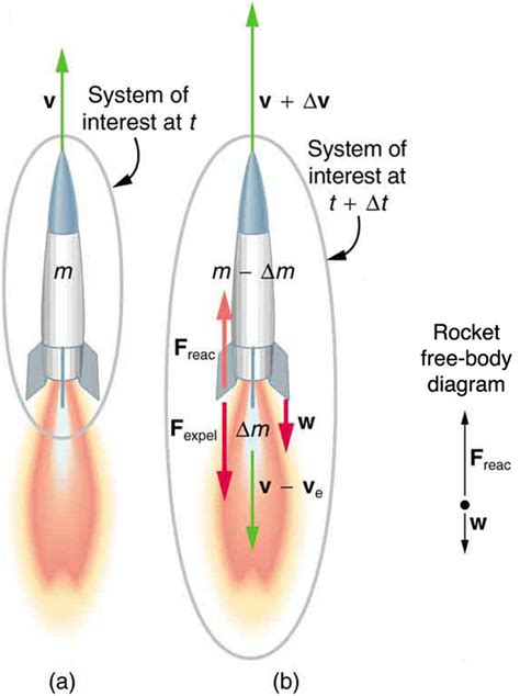 Figure: What is PR Rocket's physique like?