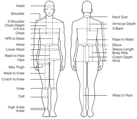 Figure Details and Body Measurements