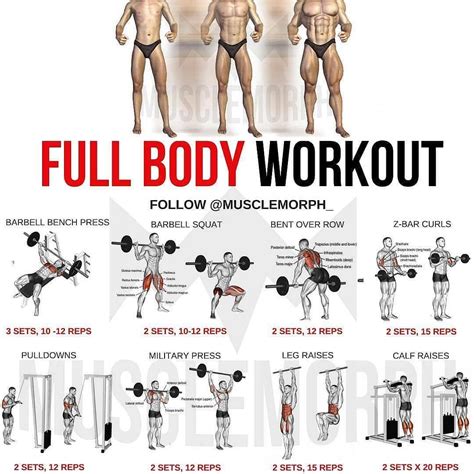 Figure and Fitness Routines