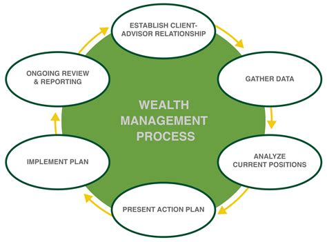 Financial Evaluation and Wealth Status