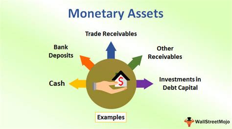 Financial Portfolio and Monetary Assets