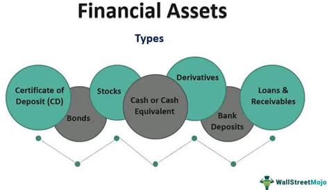 Financial Profile and Assets of the Established Personality