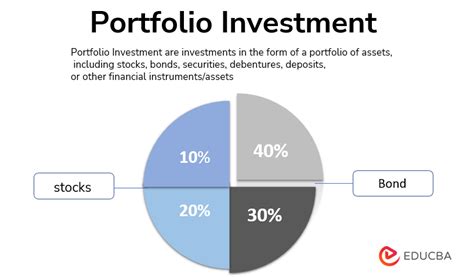 Financial Standing and Investment Portfolio of Tatiana Swidin