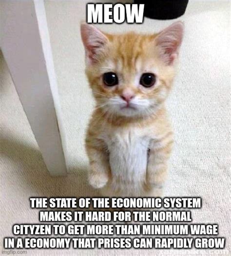 Financial Status of Meow Kitty