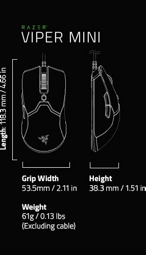 Find Out Viper's Height and Body Measurements