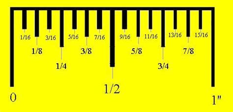 Finding Quinne's vertical measurement in feet and inches