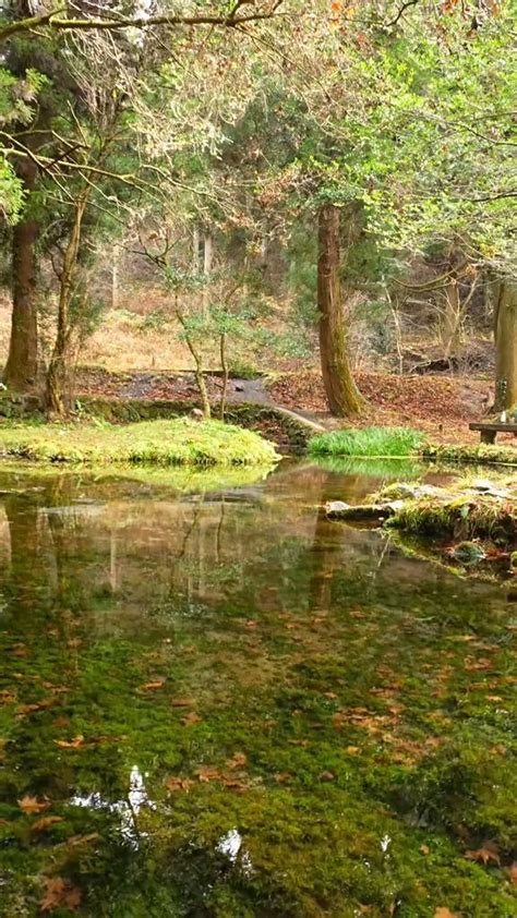 Finding Tranquility: Escaping the Chaos and Embracing the Stillness of Enchanting Valleys