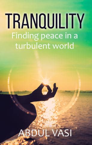 Finding Tranquility in a Turbulent World